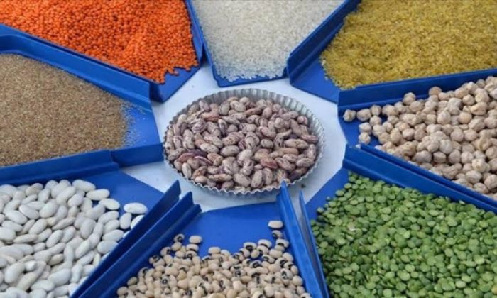 İhracatın Şampiyonu Hububat Bakliyat Yağlı Tohumlar