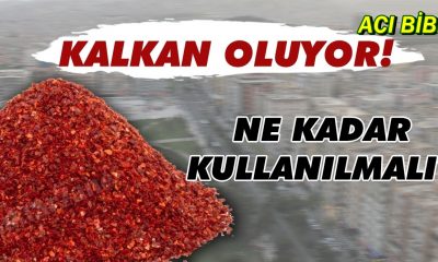 Acı biber koronaya meydan okuyor!