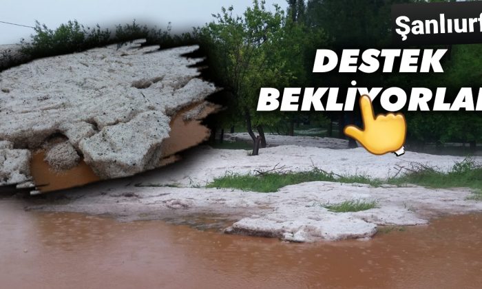 Şanlıurfa’da şiddetli dolu çiftçiyi vurdu: Zarar büyük!