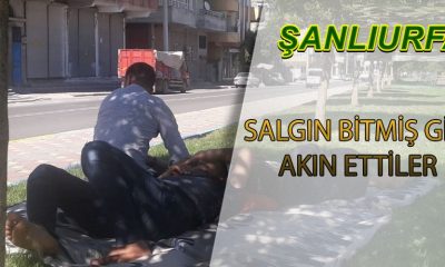 Urfa’da parklara akın edildi! Sosyal mesafe hiçe sayıldı