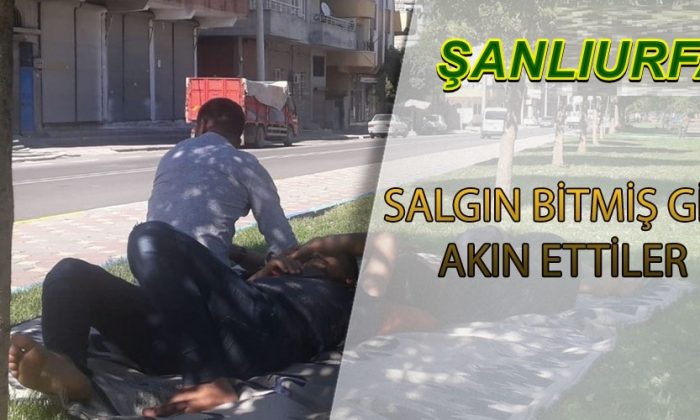 Urfa’da parklara akın edildi! Sosyal mesafe hiçe sayıldı