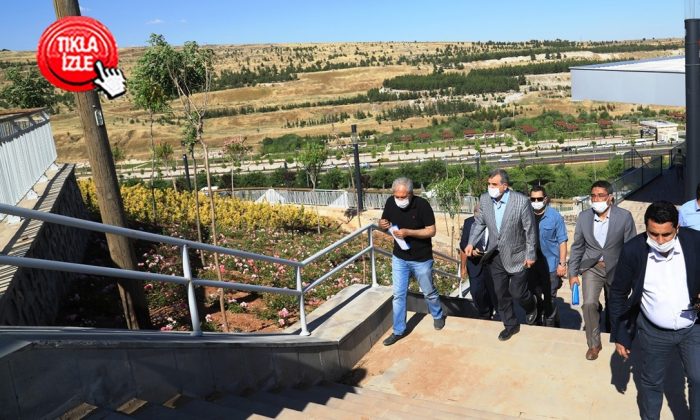 Beyazgül, yeşil alanlarda inceleme yaptı