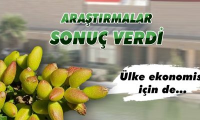 Milyonluk zarara neden olmuştu