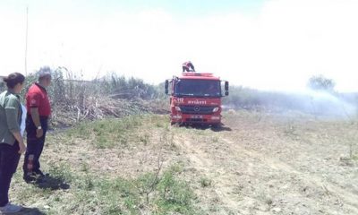 Kelaynakların kullandığı bölgede yangın çıktı