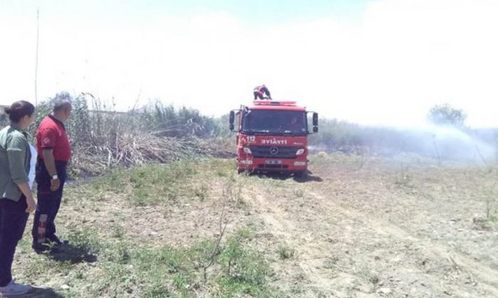 Kelaynakların kullandığı bölgede yangın çıktı