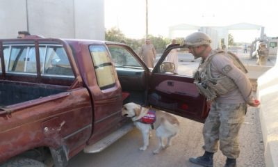 Barış Pınarı bölgesinde güvenlik çalışmaları sürüyor
