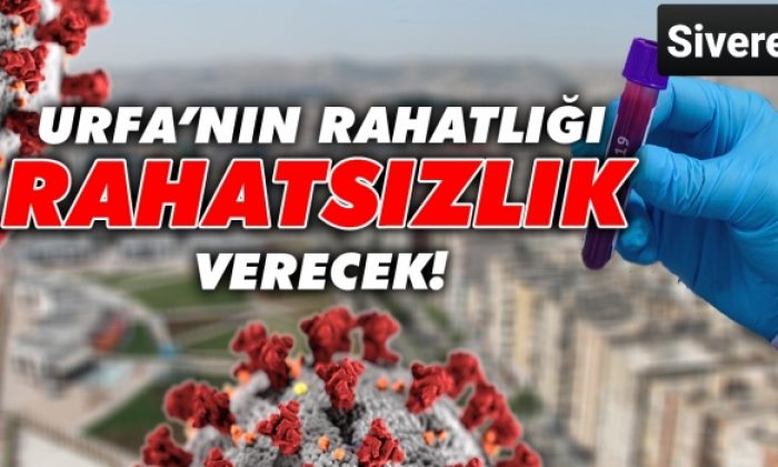 Sağlıkçılar endişeli! Korona Siverek’te hortladı