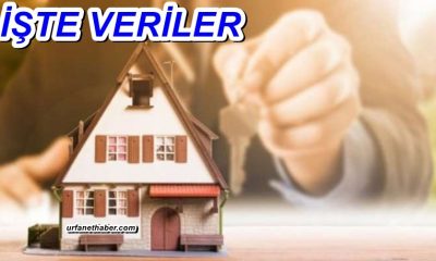 Konut kredisinde Urfa’nın karnesi kötü!