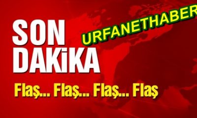 Urfa’da erkek cesedi bulundu!