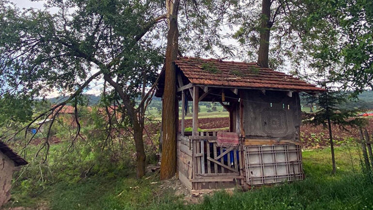 22 yaşındaki Seda’nın talihsiz ölümü... Yakınları sinir krizi geçirdi