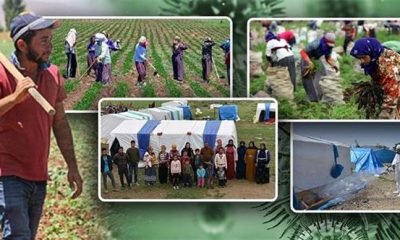 Tarım işçisi çocuklar için Urfa’dan dayanışma çağrısı
