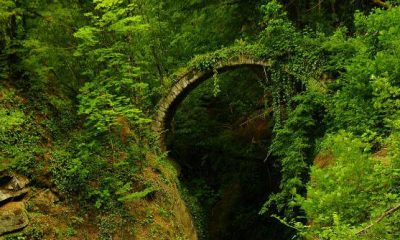 Artvin’de fotoğrafçılar buldu
