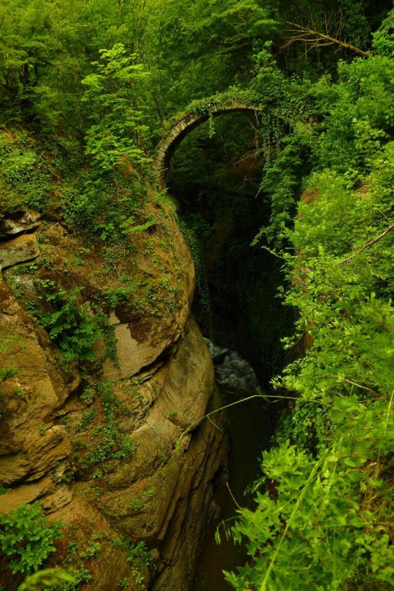 Artvinde fotoğrafçılar buldu