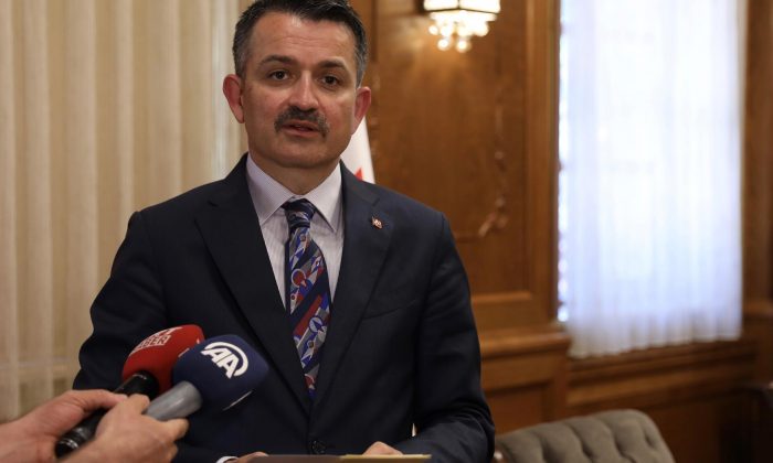 Bakan Pakdemirli: Bingöl’de telef olan hayvanları karşılama kararı aldık