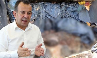 Bu görüntüler büyük tepki toplamıştı; Belediye Başkanı’ndan açıklama geldi