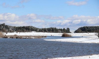 Cumhurbaşkanı kararıyla iki bölge ‘kesin korunacak hassas alan’ ilan edildi