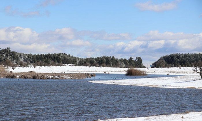 Cumhurbaşkanı kararıyla iki bölge ‘kesin korunacak hassas alan’ ilan edildi