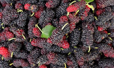 Faydaları ile şaşırtıyor! Şimdi tam zamanı…