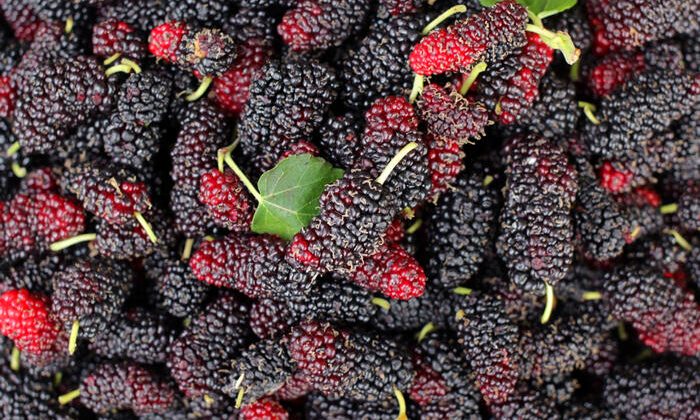 Faydaları ile şaşırtıyor! Şimdi tam zamanı…