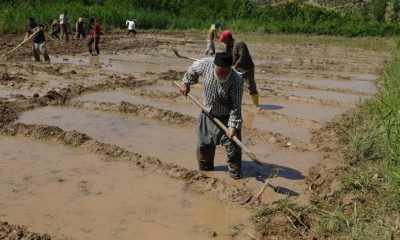 Geleneği sürdürüyorlar… Her gün başka bir tarladalar