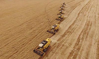 Hububatçılar ihracatta rekora koşuyor