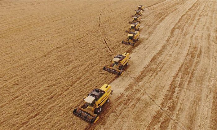 Hububatçılar ihracatta rekora koşuyor