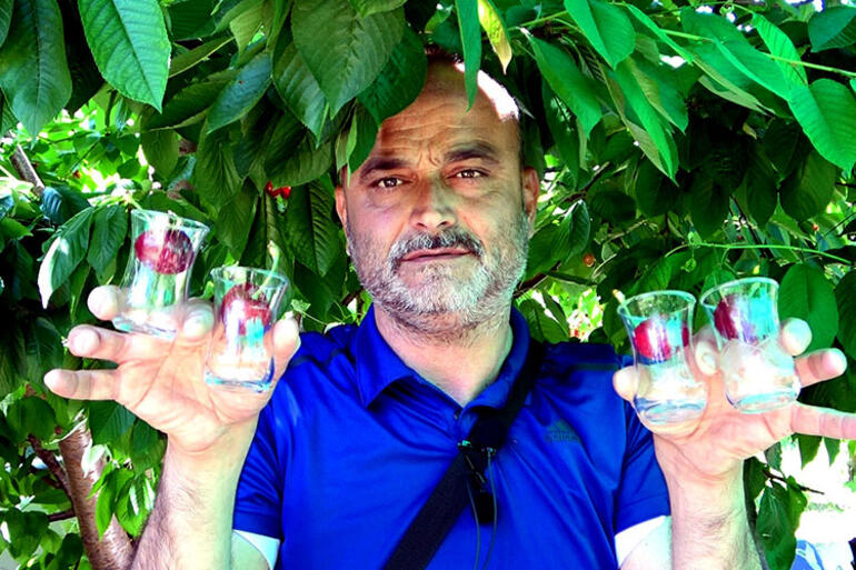 Lezzeti ve boyutuyla dikkat çekiyor Çay bardağına bile sığmıyor