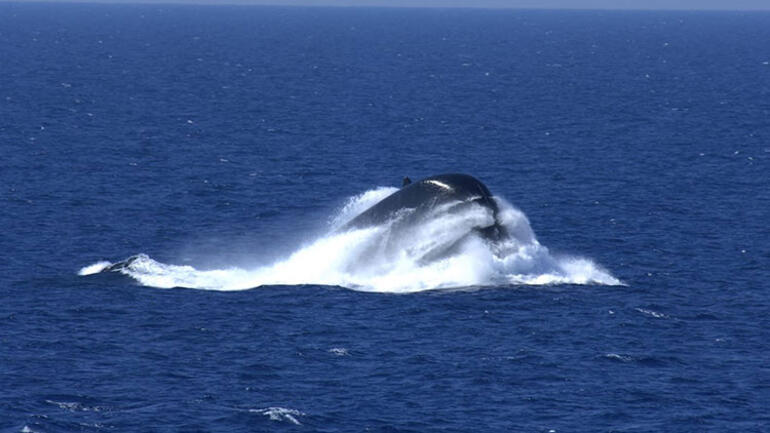 MSB: Akdenizde Türk ve İtalyan denizaltılarıyla eğitim gerçekleştirildi