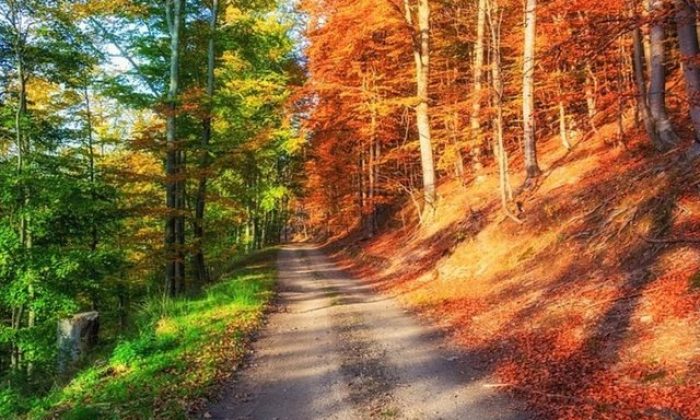 Photoshop değil gerçek!