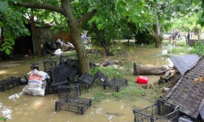 Silivri’de yağmur, evleri su bastı