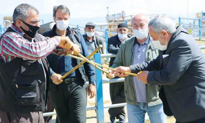 ‘Sopalı pazarlık’