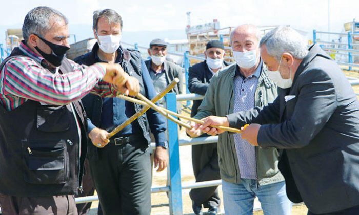 ‘Sopalı pazarlık’