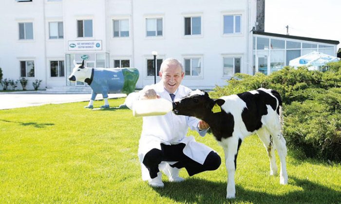 Sütün önemi iyice anlaşıldı