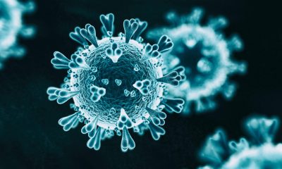 ‘TÜBİTAK çatısı altındaki Kovid-19 platformunda 17 farklı proje yürütülüyor’