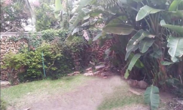 Yaratıcılıkta sınır tanımıyorlar!