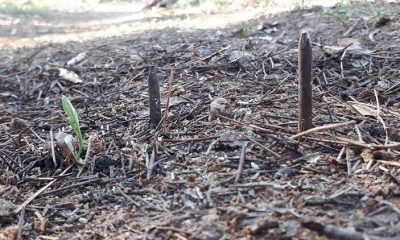 Yol kâbusları oldu! Valilik harekete geçti