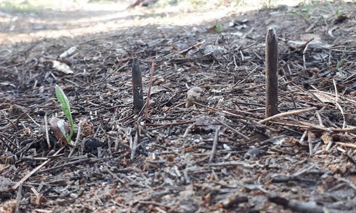 Yol kâbusları oldu! Valilik harekete geçti