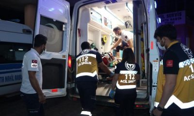 Yüksekova’da ayı saldırısı: 1 yaralı