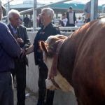 KURBAN PAZARLARINDA PARALARA DİKKAT!