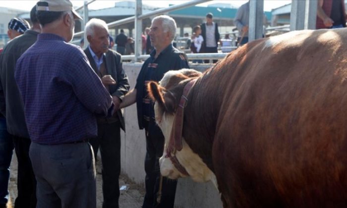 KURBAN PAZARLARINDA PARALARA DİKKAT!