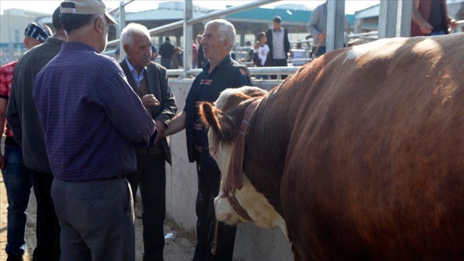 KURBAN PAZARLARINDA PARALARA DİKKAT!