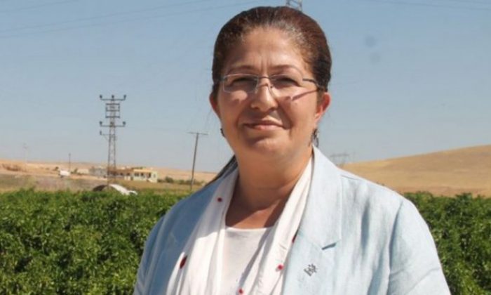 MKYK ÜYESİ POLAT’TAN İDLİB’E DESTEK