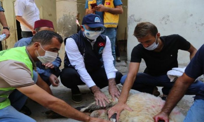 BAŞKAN KUŞ, HAYIRSEVERLERLE BİRLİKTE ONLARCA AİLEYE KURBAN DAĞITTI