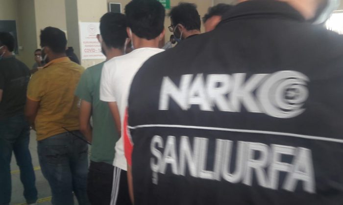 Urfa’da torbacılara operasyon